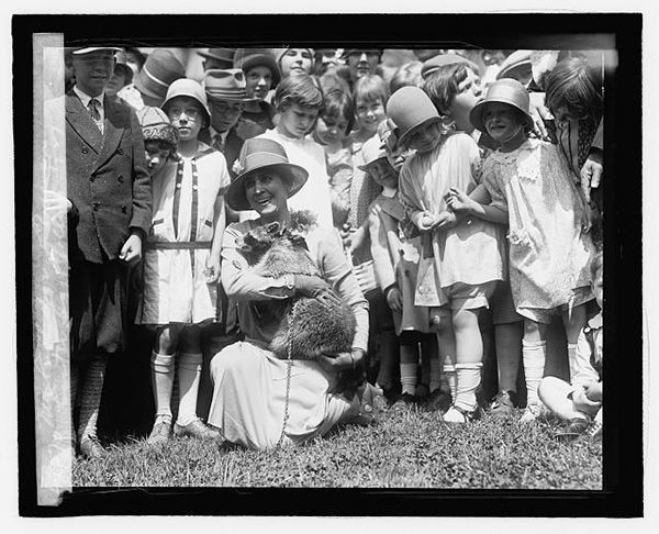 Raccoon, sent as a Thanksgiving dish to the Coolidges, became a White House pet instead